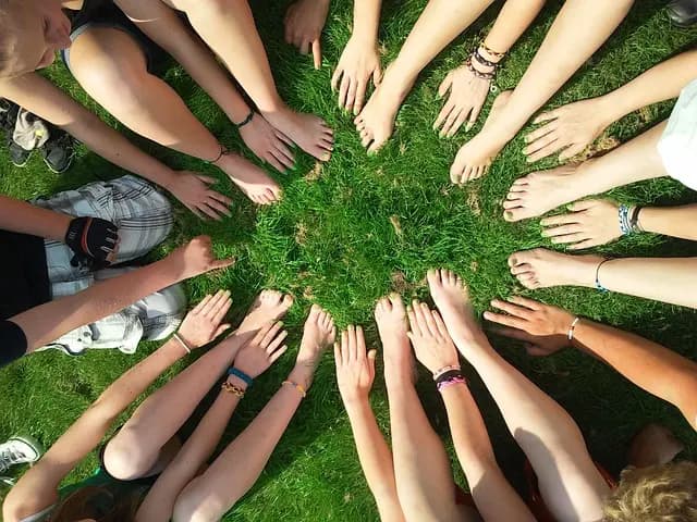 Building Team Cohesion: Strategies for Professional Success