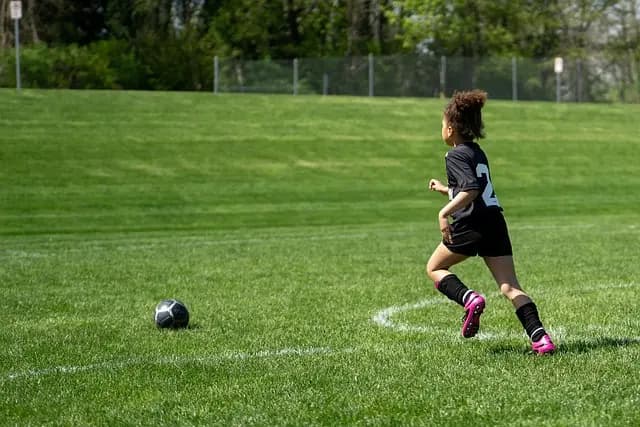 Effective Training Strategies for Professional Team Success