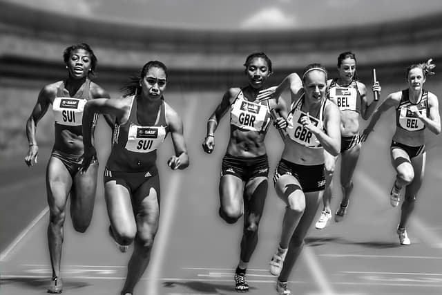 Understanding the Key Elements of Team Cohesion in Sports