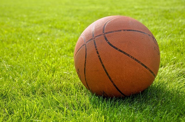 How to Analyze Team Performance Metrics Effectively